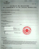 01 - Registre de commerce certifié de la société mère
